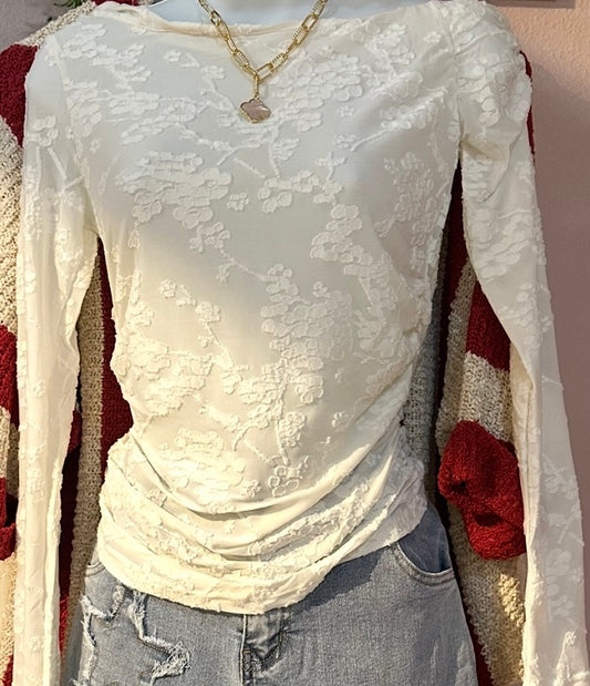 Mesh Long Sleeve Lace Top