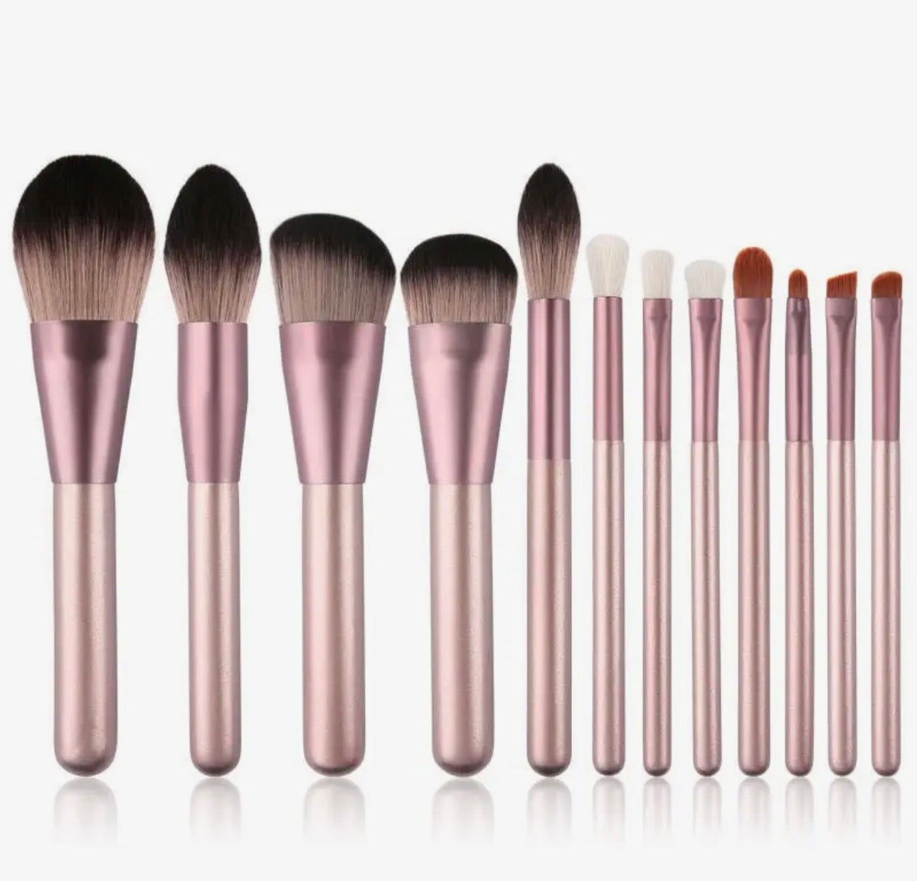 Synthetic Hair 12 Pc. Make Up Brush Set With Case
