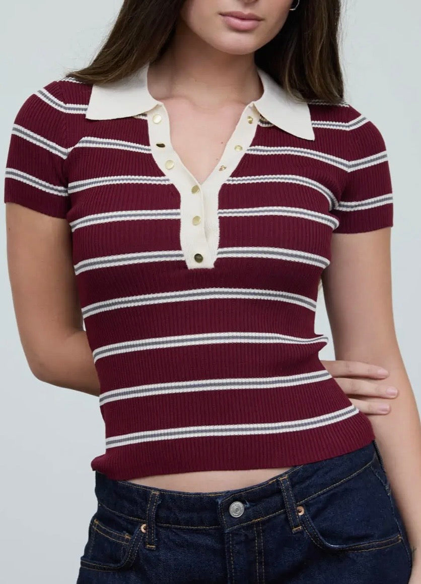 Multi Striped Ribbed SS Polo Top