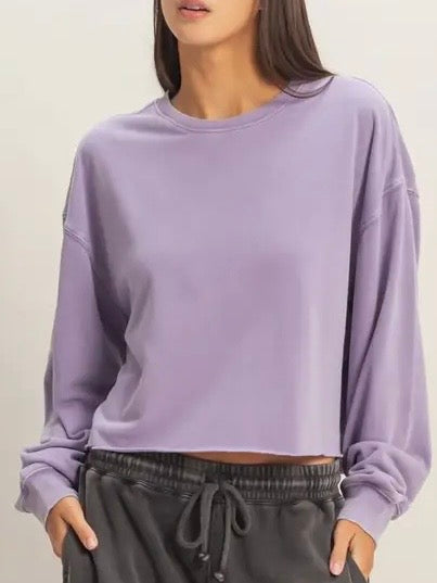 Dusty Purple Mineral Washed Cropped Sweatshirt