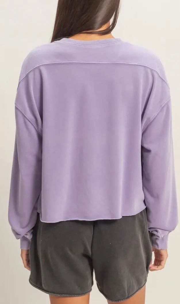 Dusty Purple Mineral Washed Cropped Sweatshirt
